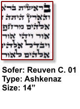 Sofer: Reuven C. 01 Type: Ashkenaz Size: 14”