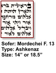 Sofer: Mordechei F. 13 Type: Ashkenaz Size: 14” or 18.5”