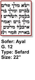 Sofer: Ayal G. 12 Type: Sefard Size: 22”