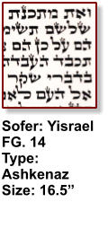 Sofer: Yisrael FG. 14 Type: Ashkenaz Size: 16.5”
