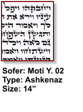 Sofer: Moti Y. 02 Type: Ashkenaz Size: 14”