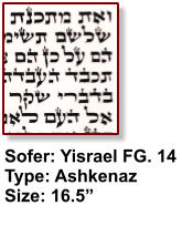 Sofer: Yisrael FG. 14 Type: Ashkenaz Size: 16.5”