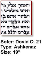 Sofer: Dovid O. 21 Type: Ashkenaz Size: 19”