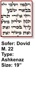 Sofer: Dovid M. 22 Type: Ashkenaz Size: 19”