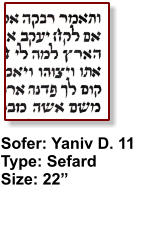 Sofer: Yaniv D. 11 Type: Sefard Size: 22”