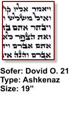 Sofer: Dovid O. 21 Type: Ashkenaz Size: 19”