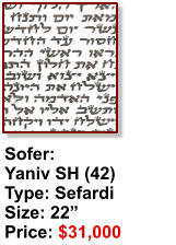 Sofer:  Yaniv SH (42) Type: Sefardi Size: 22” Price: $31,000
